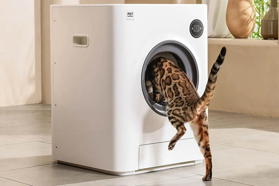 odorless cat litter box