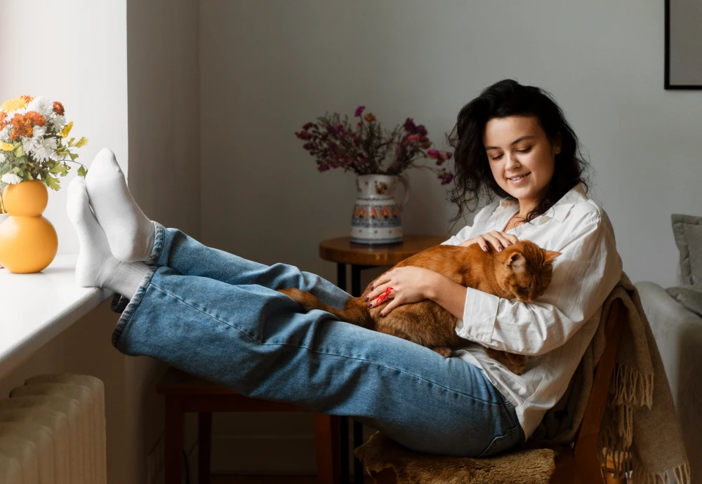 wireless home pet camera